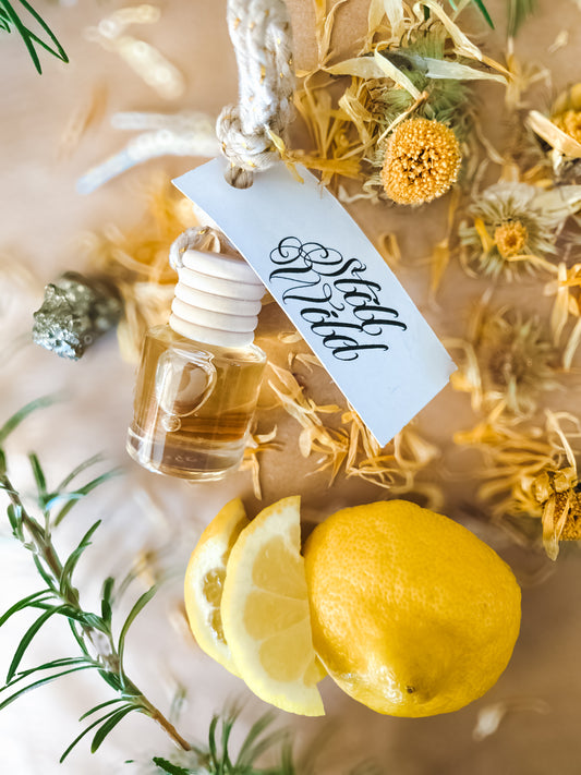 Crown of Citrine / Hanging Aroma Diffuser
