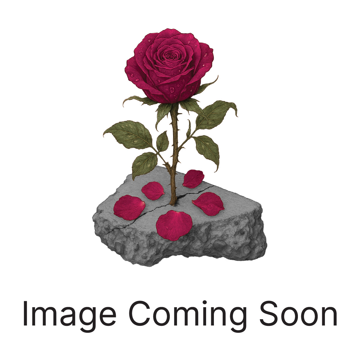 Royal & Wild Elderberry Elixir