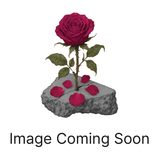 Royal & Wild Elderberry Elixir