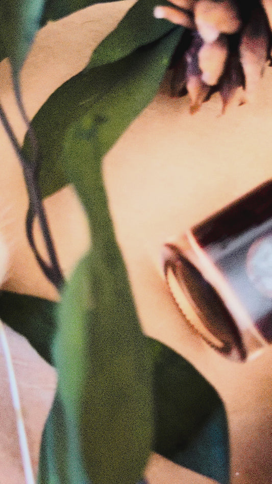 Poet’s Leaf / Hanging Aroma Diffuser