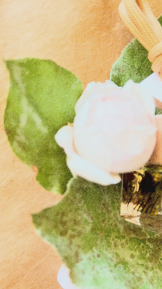 Tea Blossom / Hanging Aroma diffuser